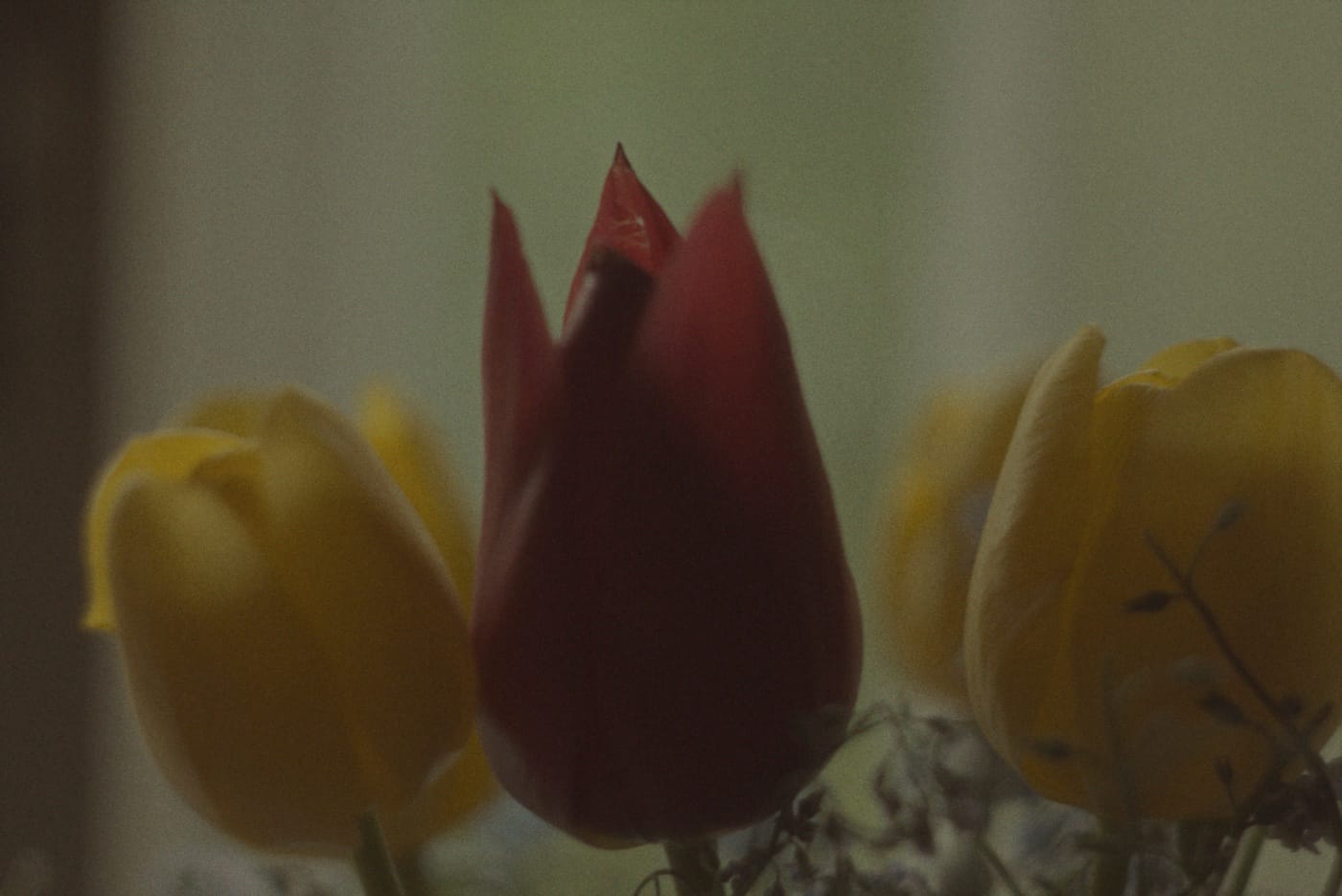 00:00:45:20