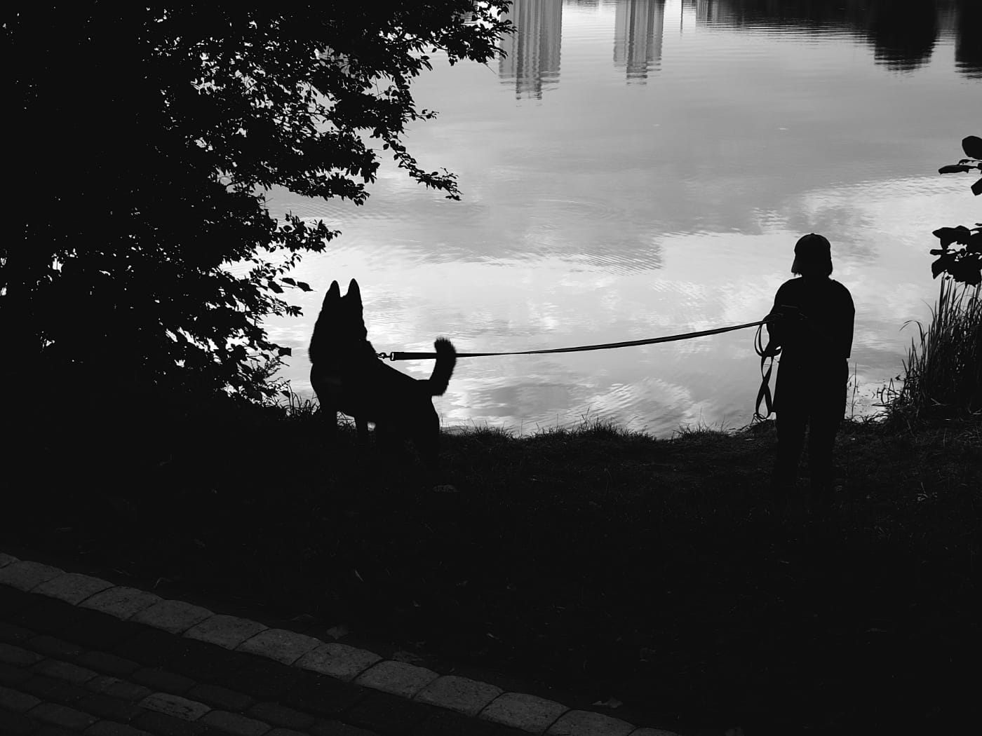 Силуэт девушки с собакой возле озера