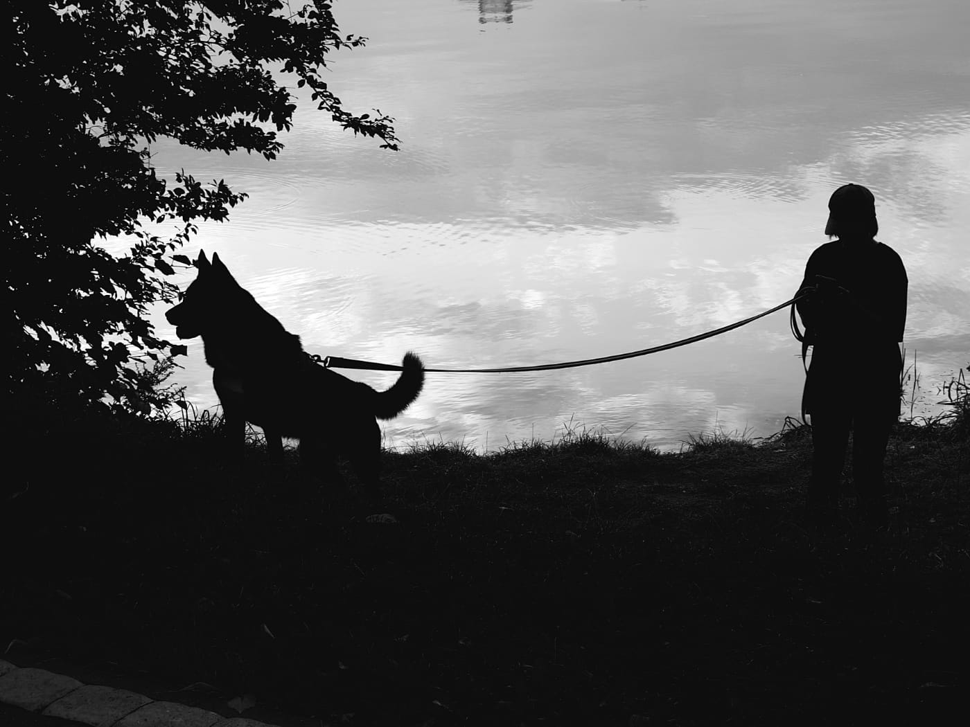 Силуэт девушки с собакой возле озера