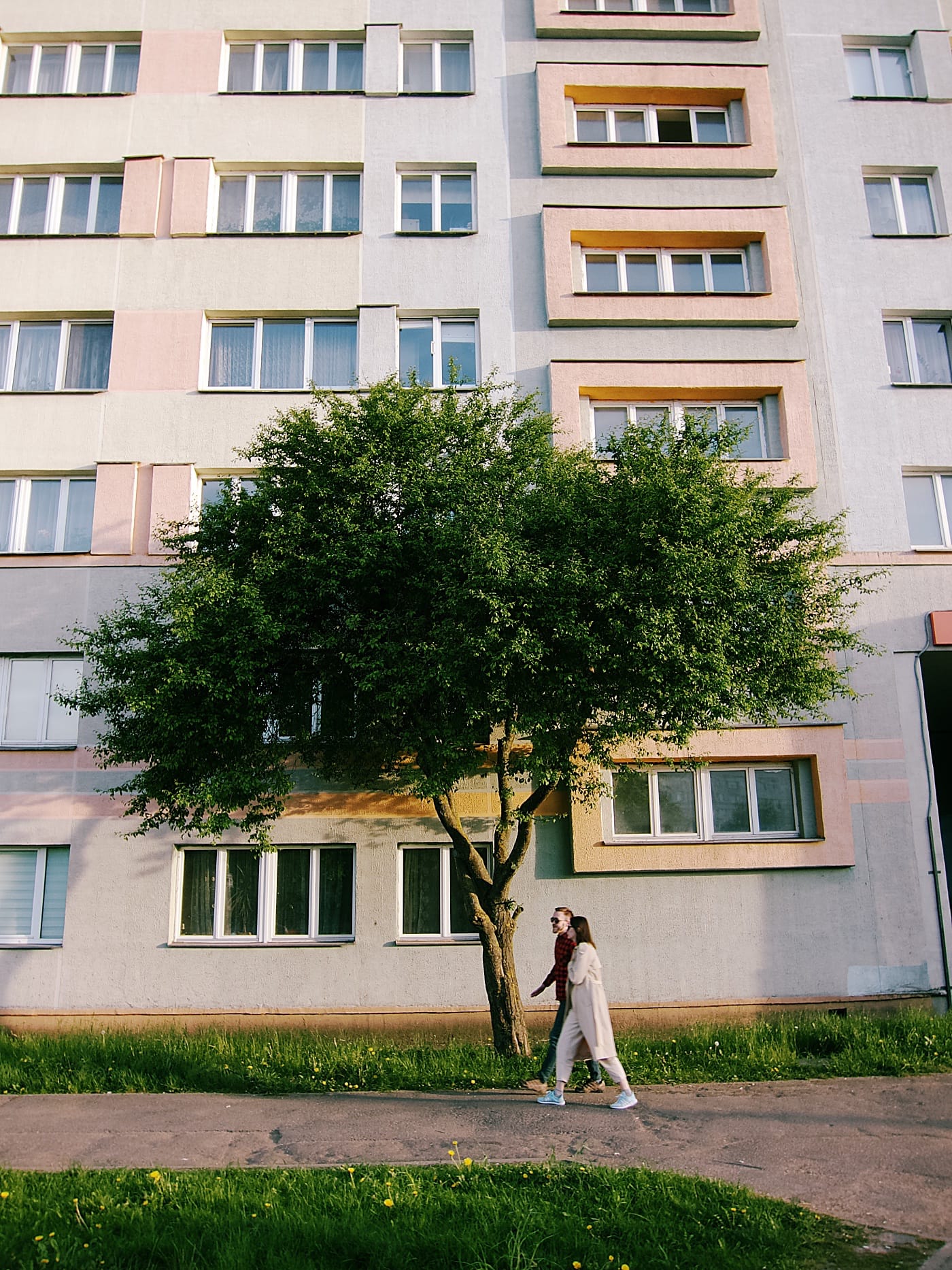 Парень и девушка идут возле красивого дерева, растущего возле многоэтажного дома