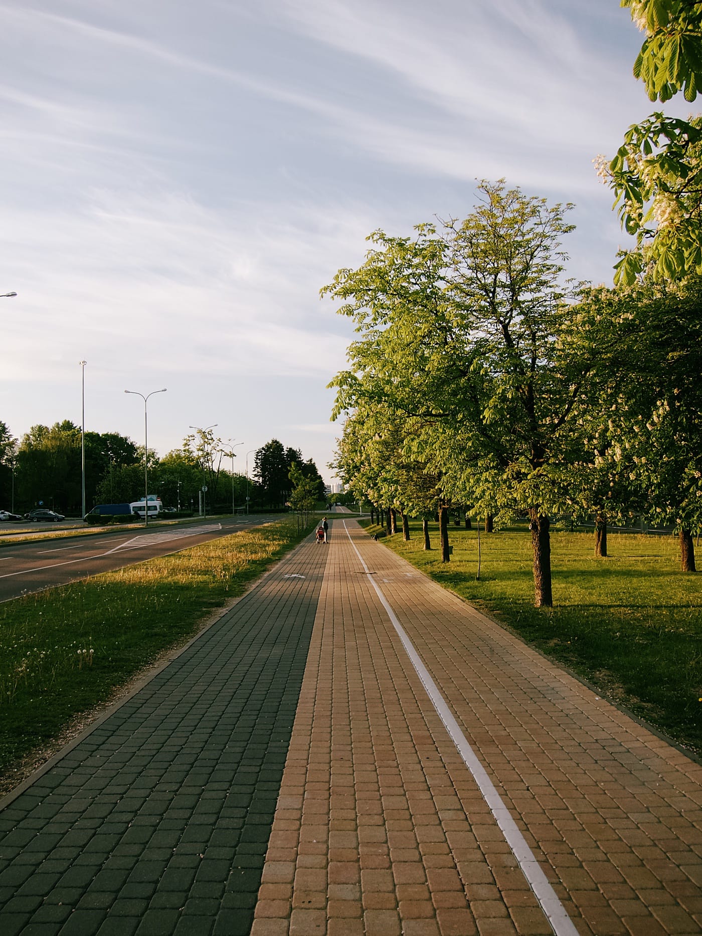 Велодорожка в Чижовке