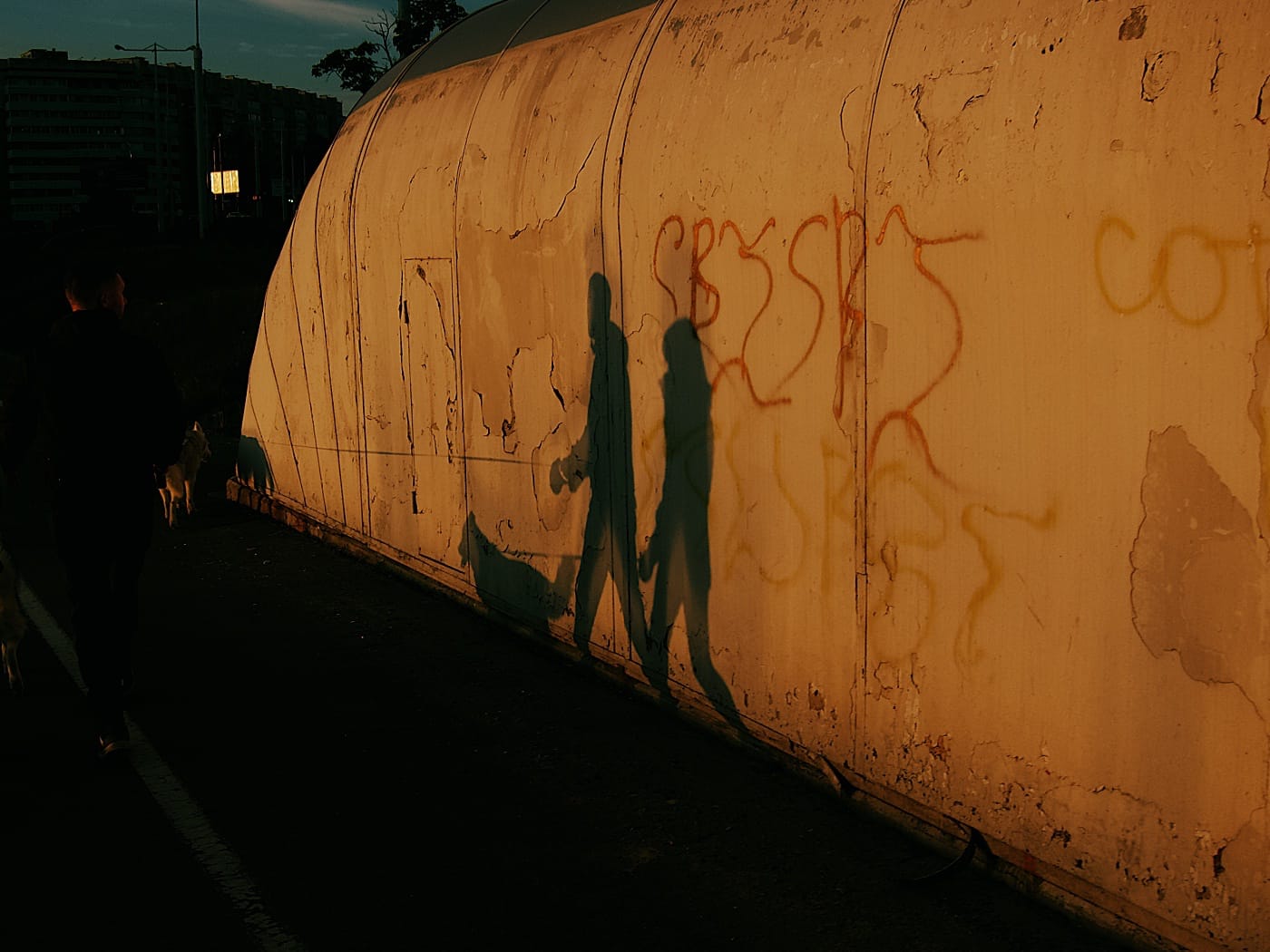 Закат. Тень мужчины, женщины и собаки на стене.