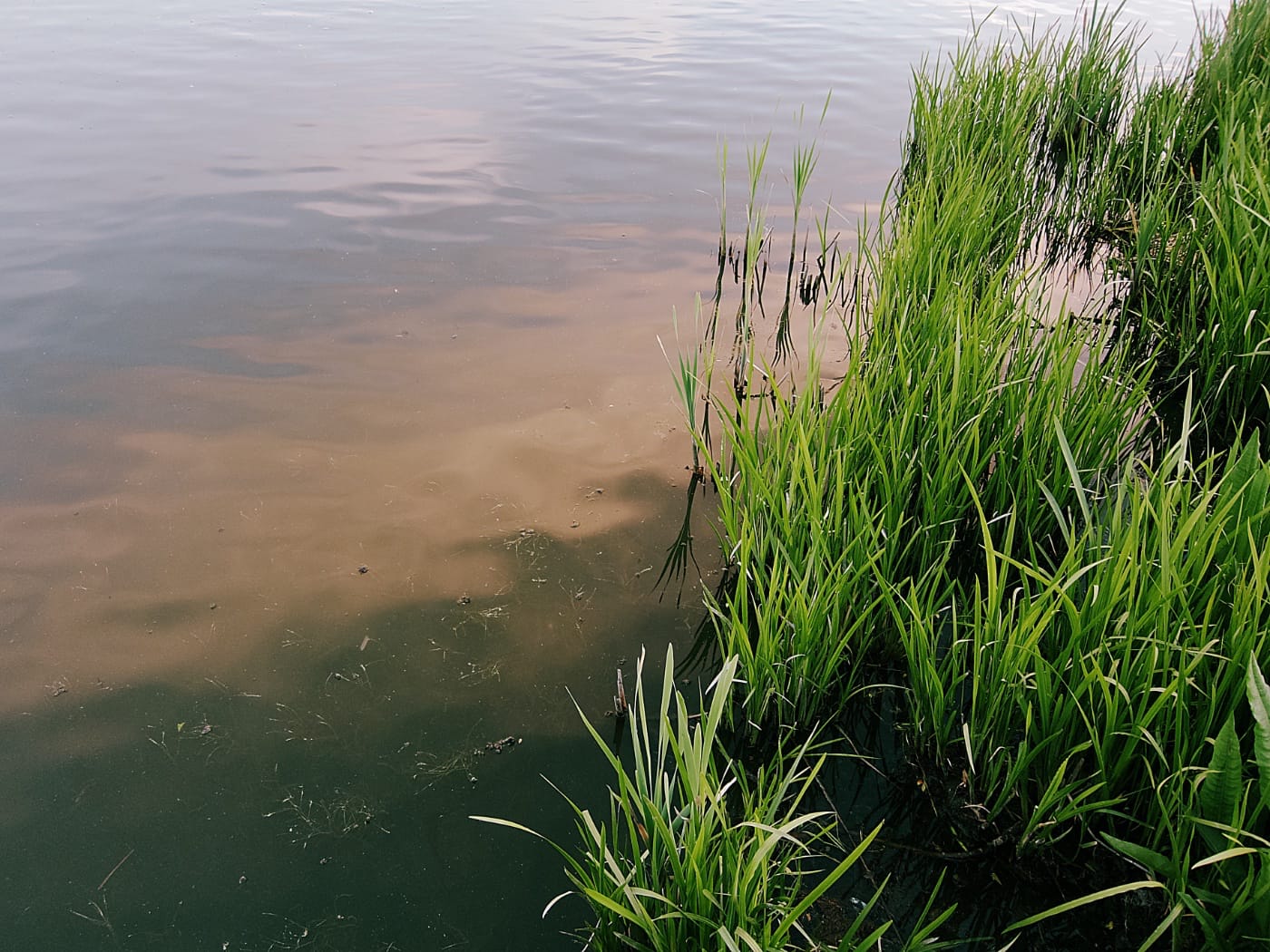 Чижовское водохранилище в Минске