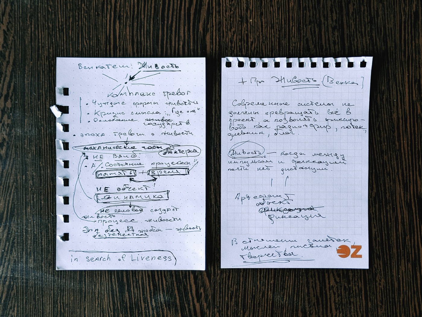 Записные листы с заметками о концепции «Живость», включая ключевые идеи и определения.
