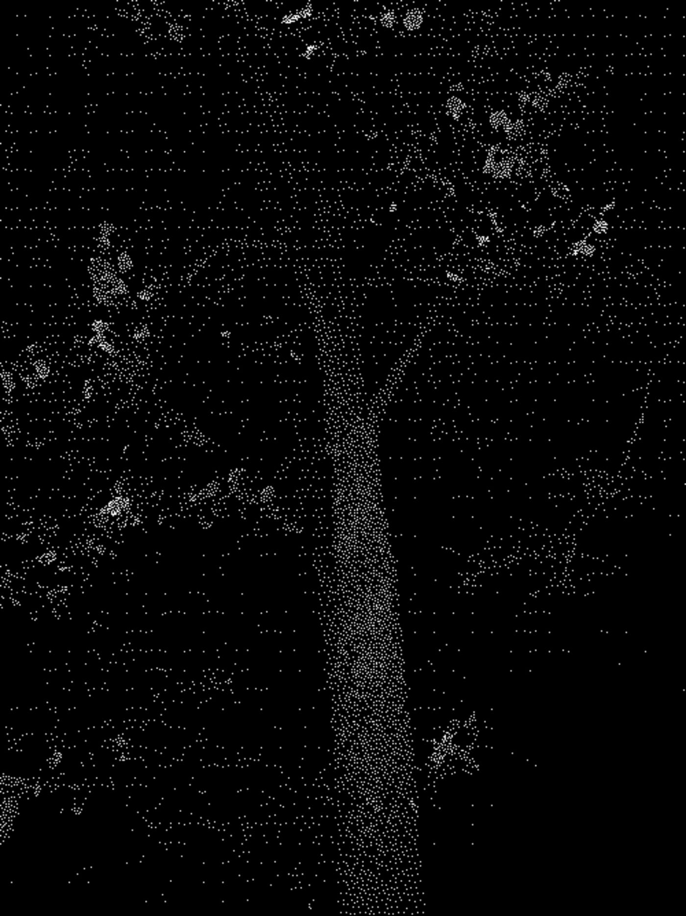 F1761354823138