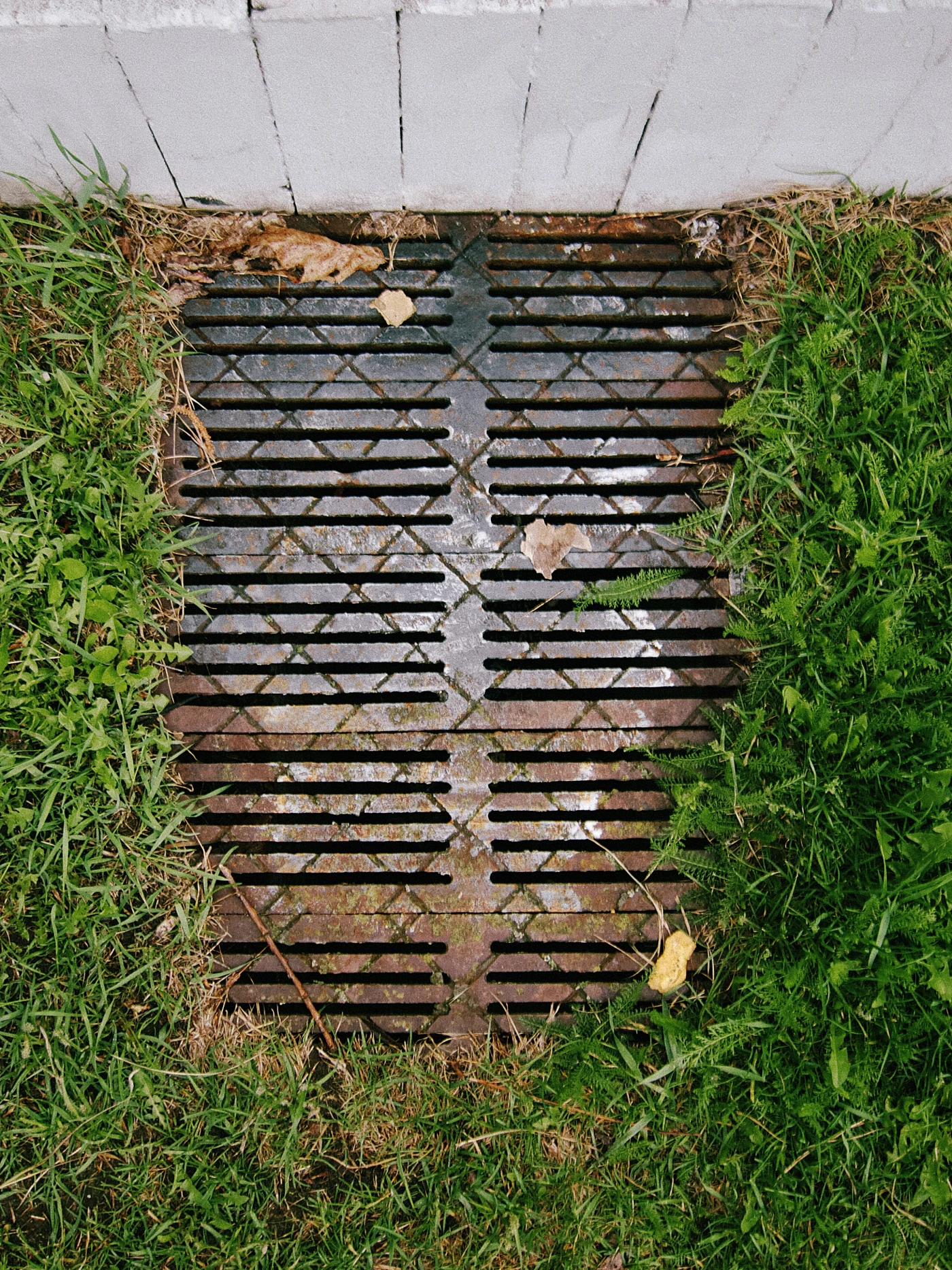 A ground grate surrounded by grass, with several leaves and traces of rust.