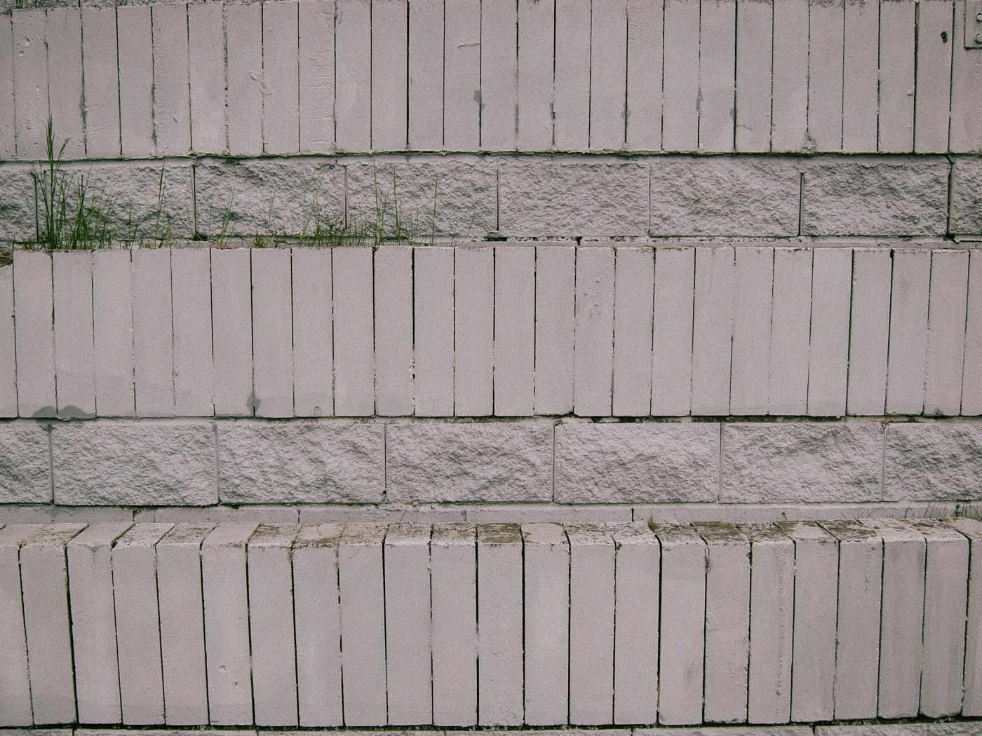 A white brick wall with horizontal rows and small plants growing between them.