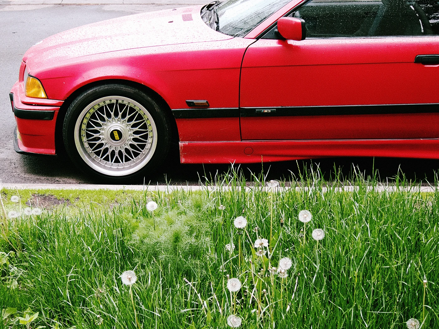 A red sports car with rims against green grass and dandelions.