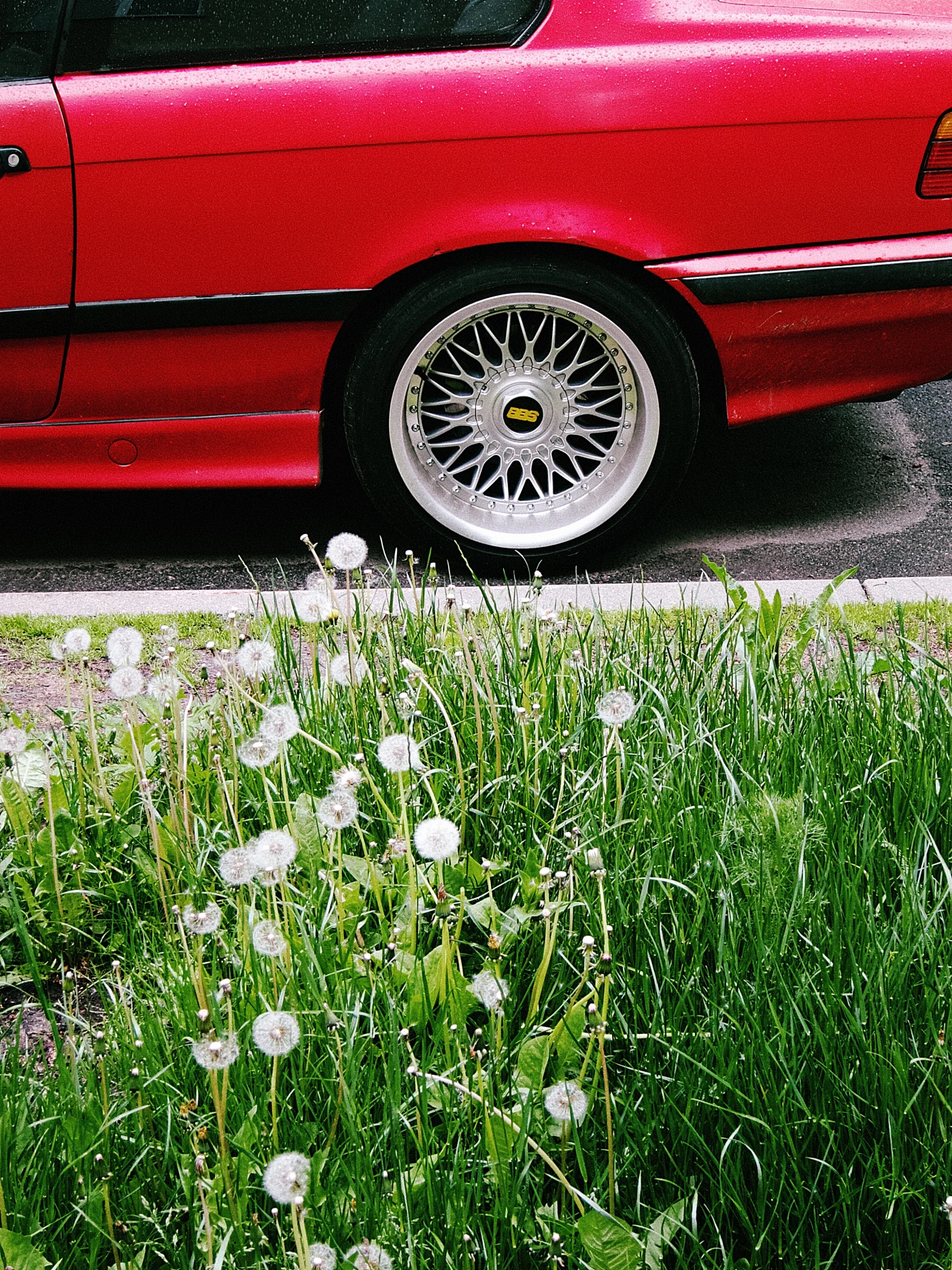 A red car with rims against green grass and dandelions.