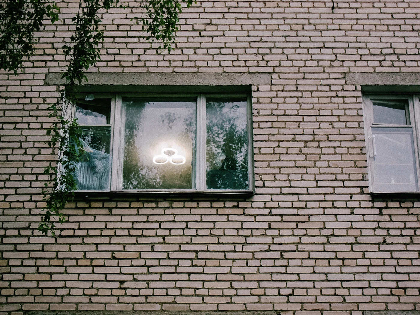 A window with lamps reflected in the glass, against a brick wall. Tree branches on the left.