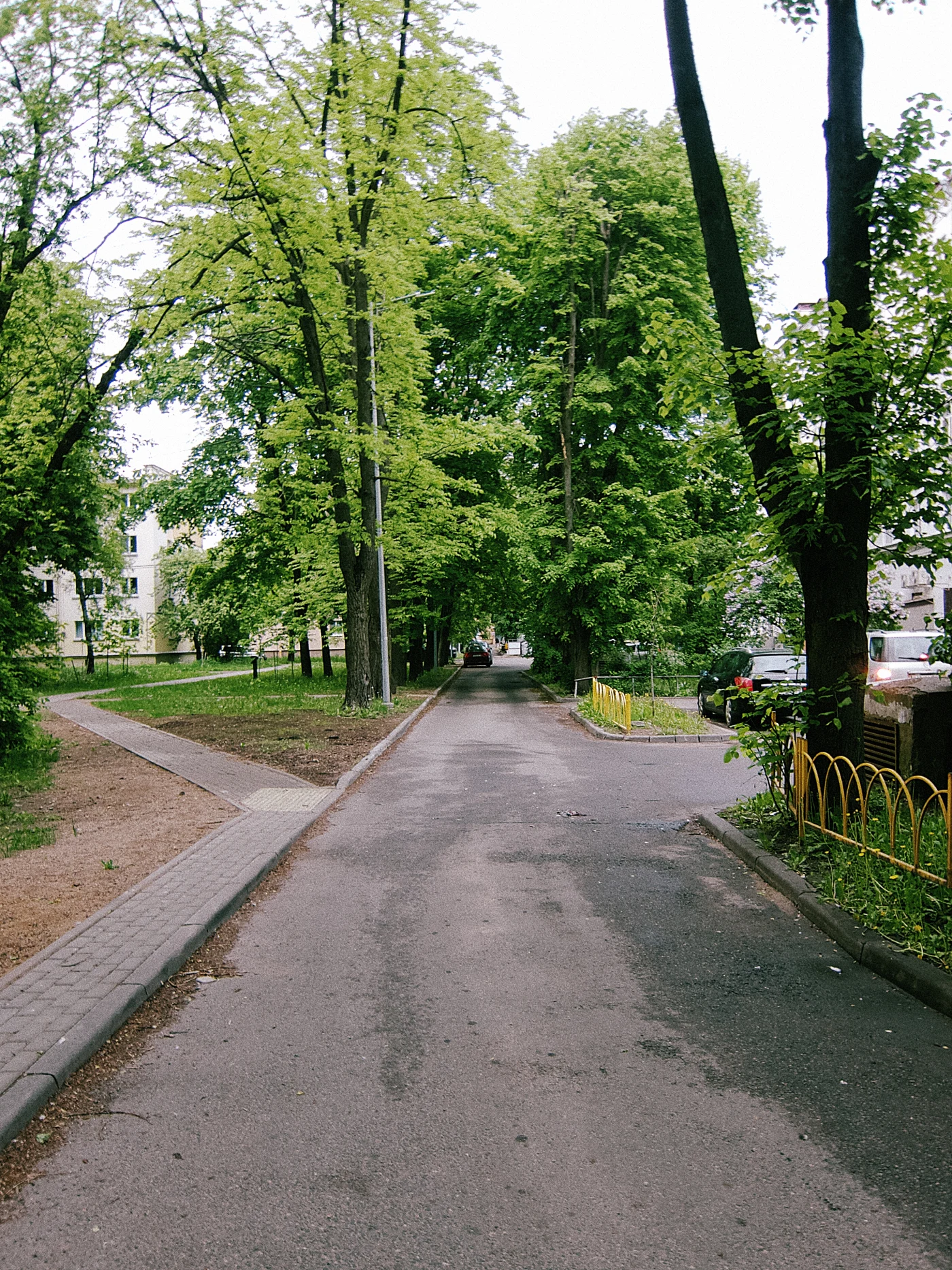 A street surrounded by green trees, with an asphalt path and houses in the background.