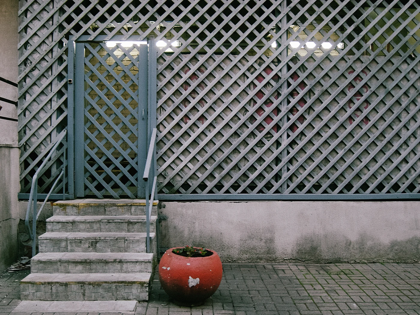 A gray door with stairs and a red flower pot against a lattice wall.