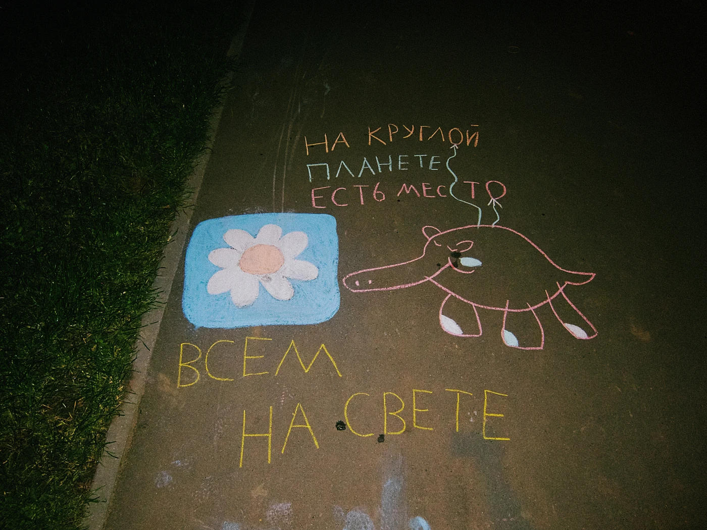 На асфальте нарисованы цветок и животное, текст: «На круглой планете есть место всем на свете».