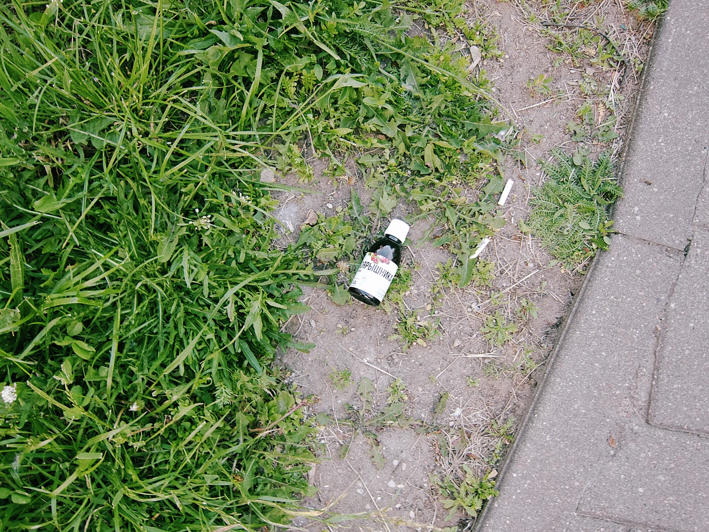 A bottle labeled “Coca-Cola” lying on the ground among grass near the sidewalk.
