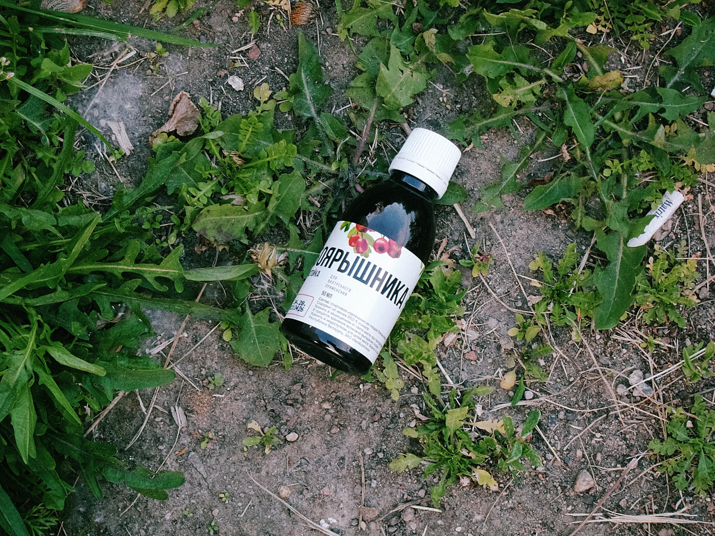 A bottle of “Arbishinka” syrup lying on the ground among grass.