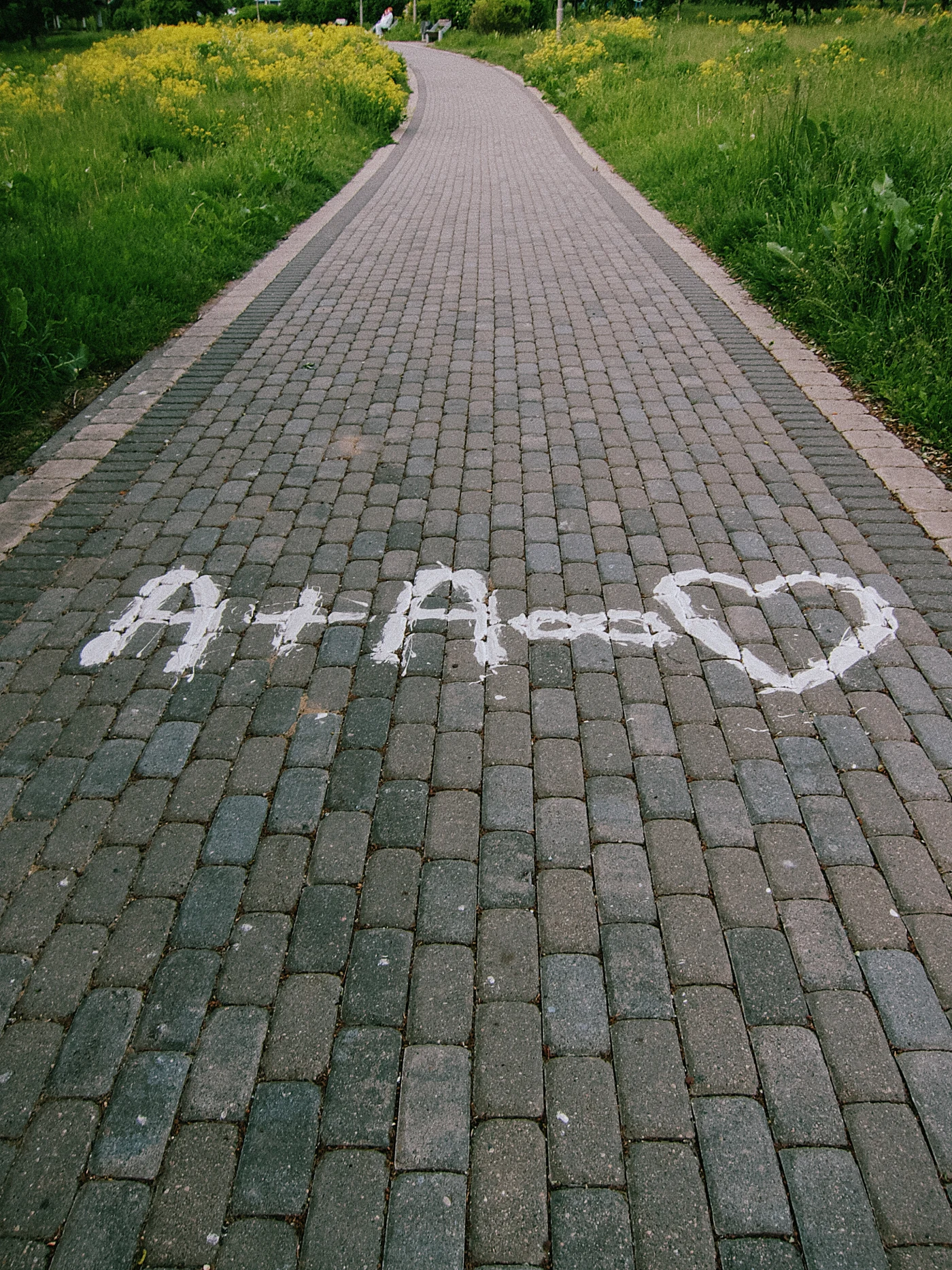 “A + A = ❤️” written in white paint on the sidewalk. Green grass and flowers around it.