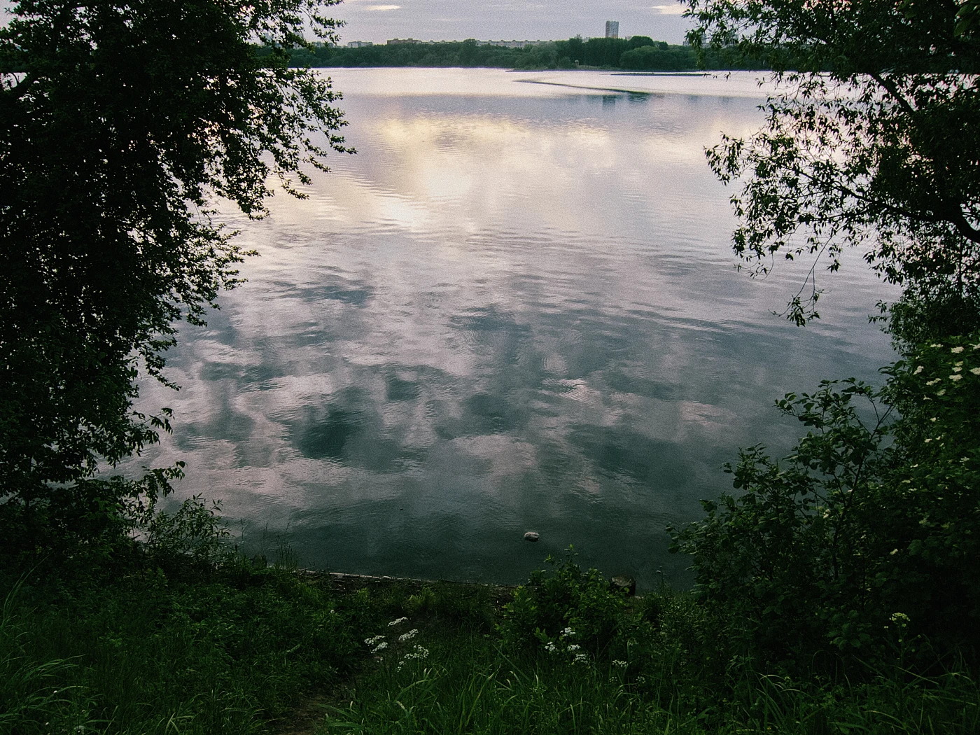 A calm river with reflections of clouds, surrounded by green trees and grass.