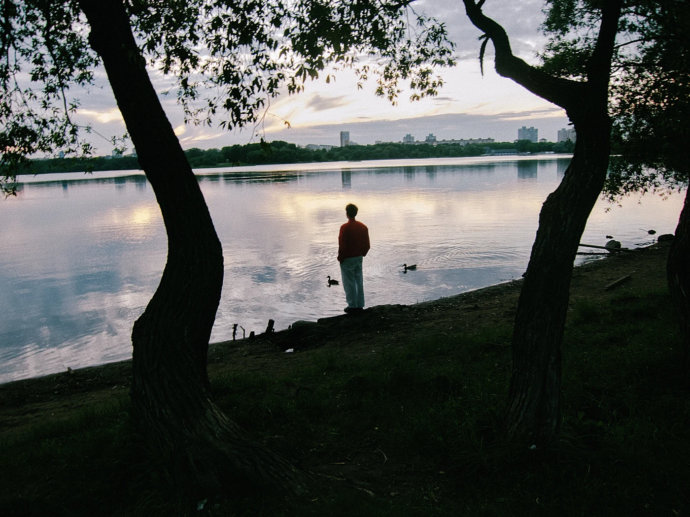 A person in a red jacket stands by the water, watching ducks against the background of a calm lake and evening sky.