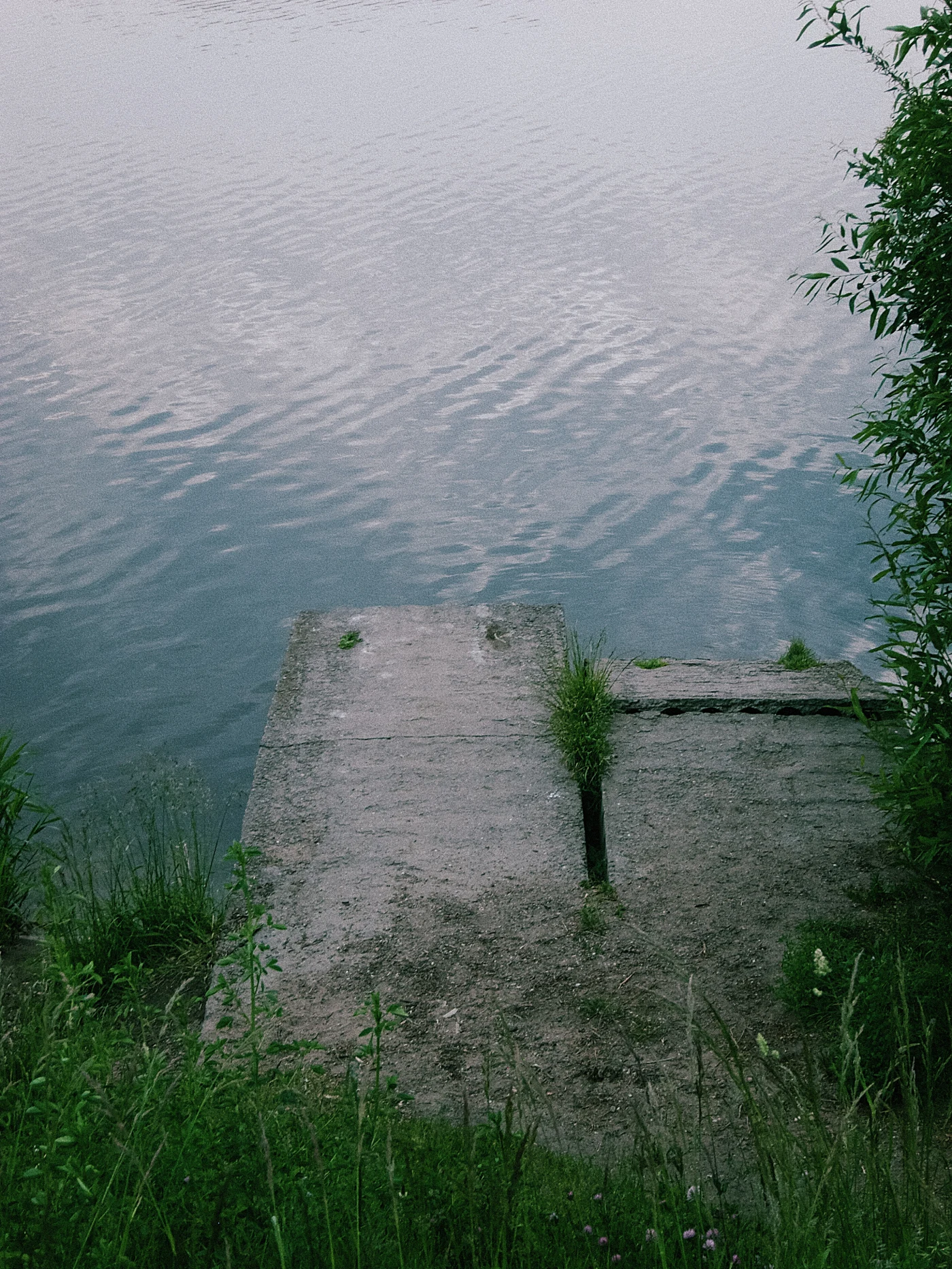 A pier by the water, surrounded by greenery, with the sky reflected on the surface of the river.