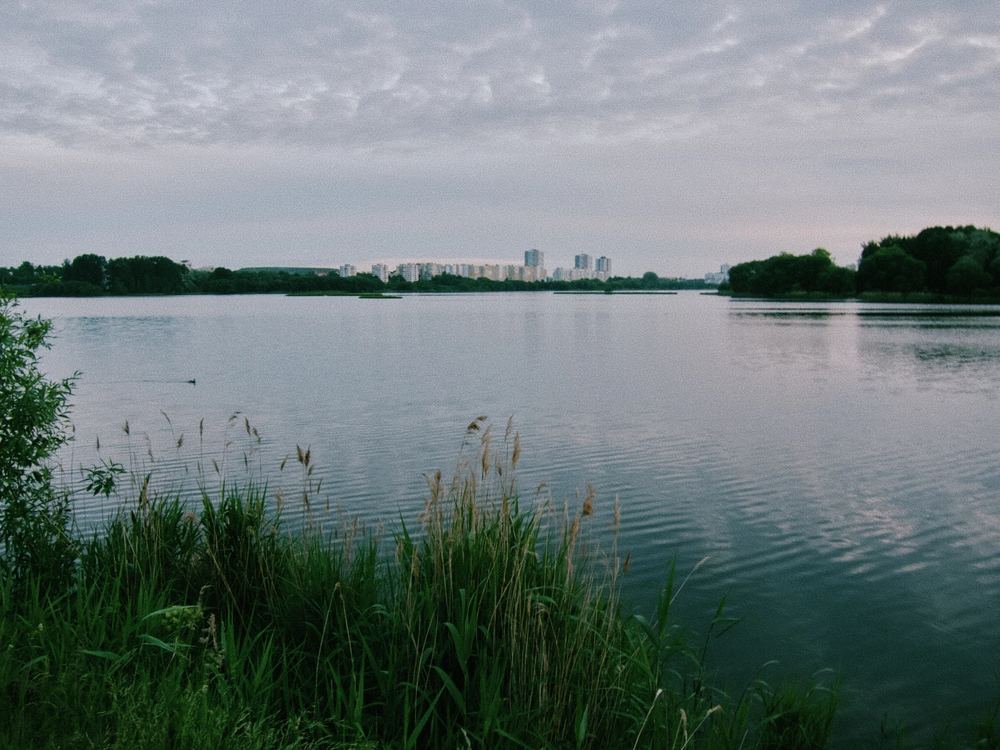 A calm water surface with green banks and city buildings on the horizon under a cloudy sky.