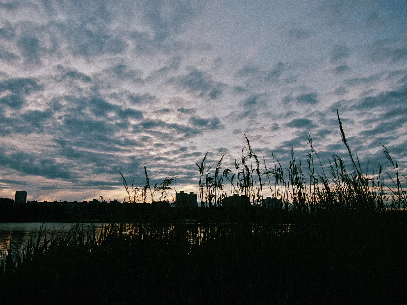 Sunset over the city, silhouettes of buildings against a cloudy sky and grass by the water.