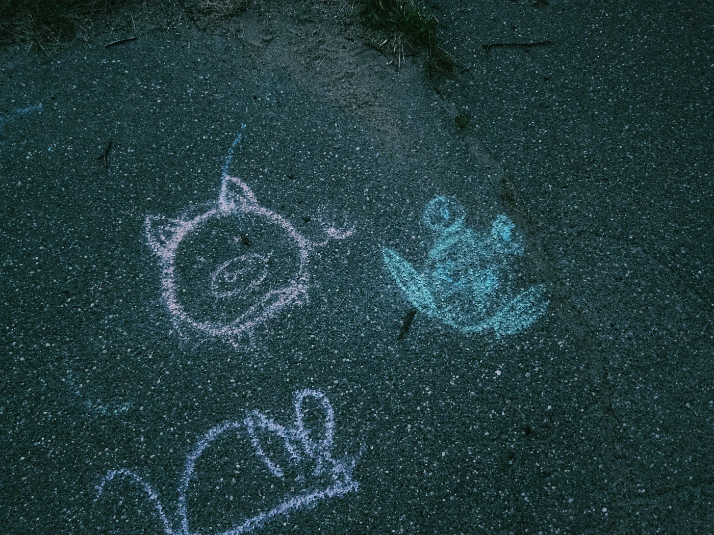 A cat and a frog drawn in chalk on the asphalt.