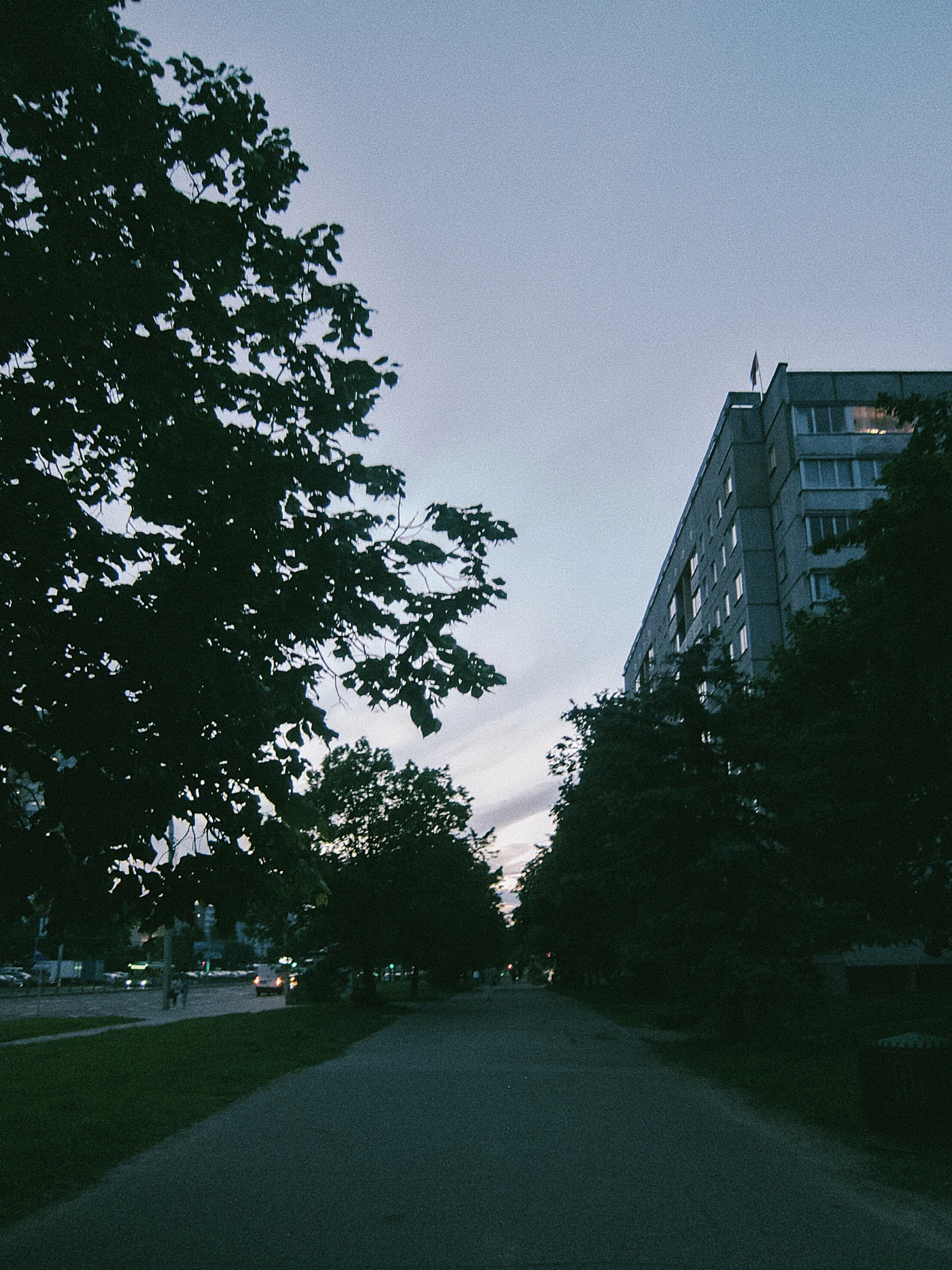 A street with trees, evening sky, and buildings on both sides. Calm atmosphere.