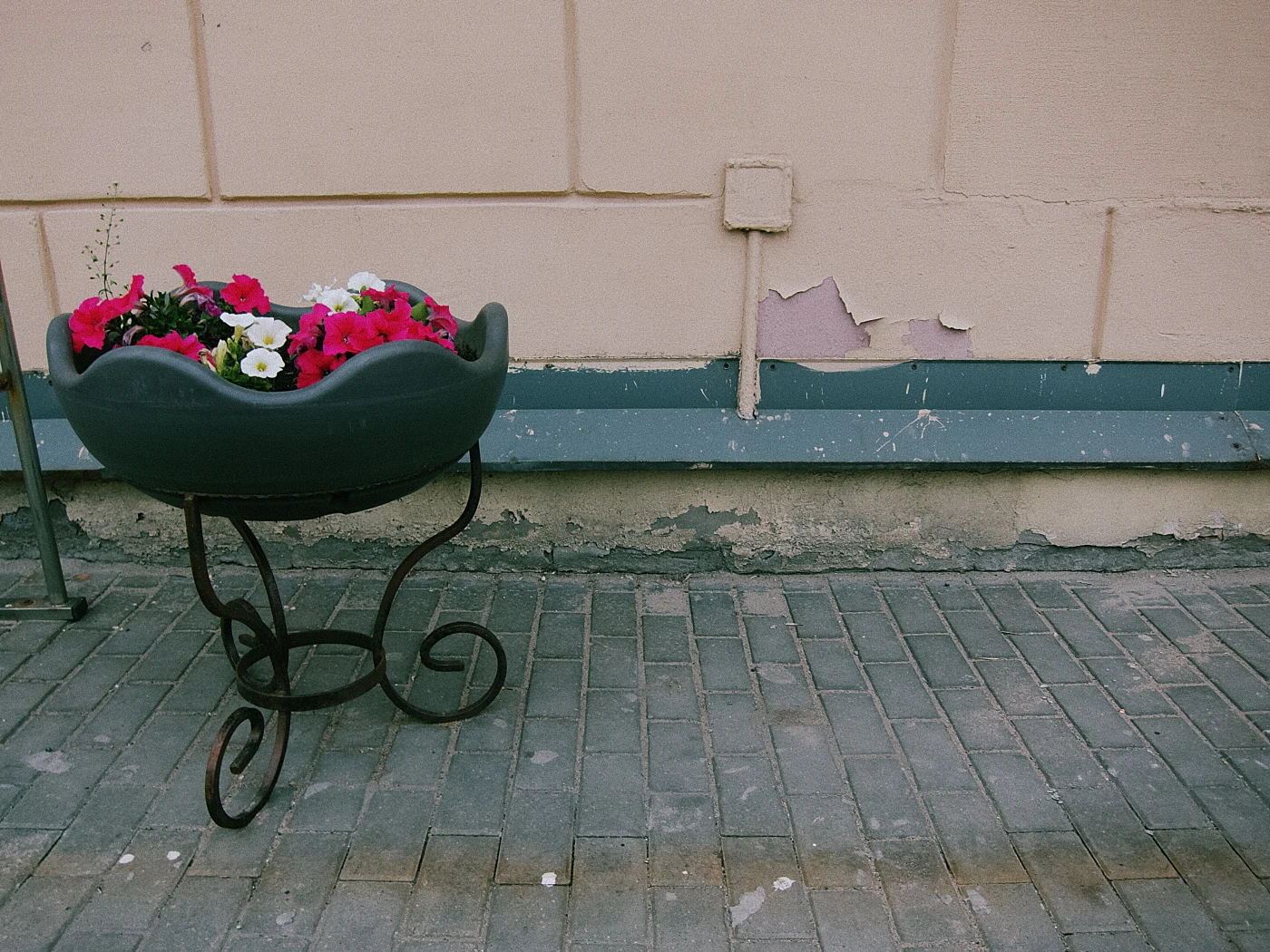 Flowers in a black planter on a metal stand, next to a weathered wall with peeling paint.