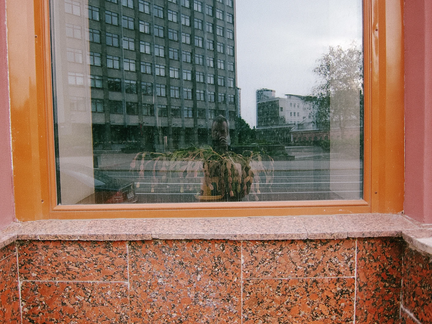A person&rsquo;s reflection in a window, with a plant on the windowsill and a building in the background.