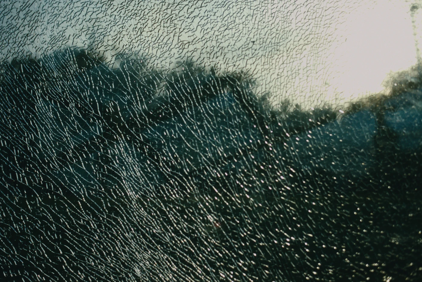Blurred glass covered with water droplets, with silhouettes of trees and light visible in the background.