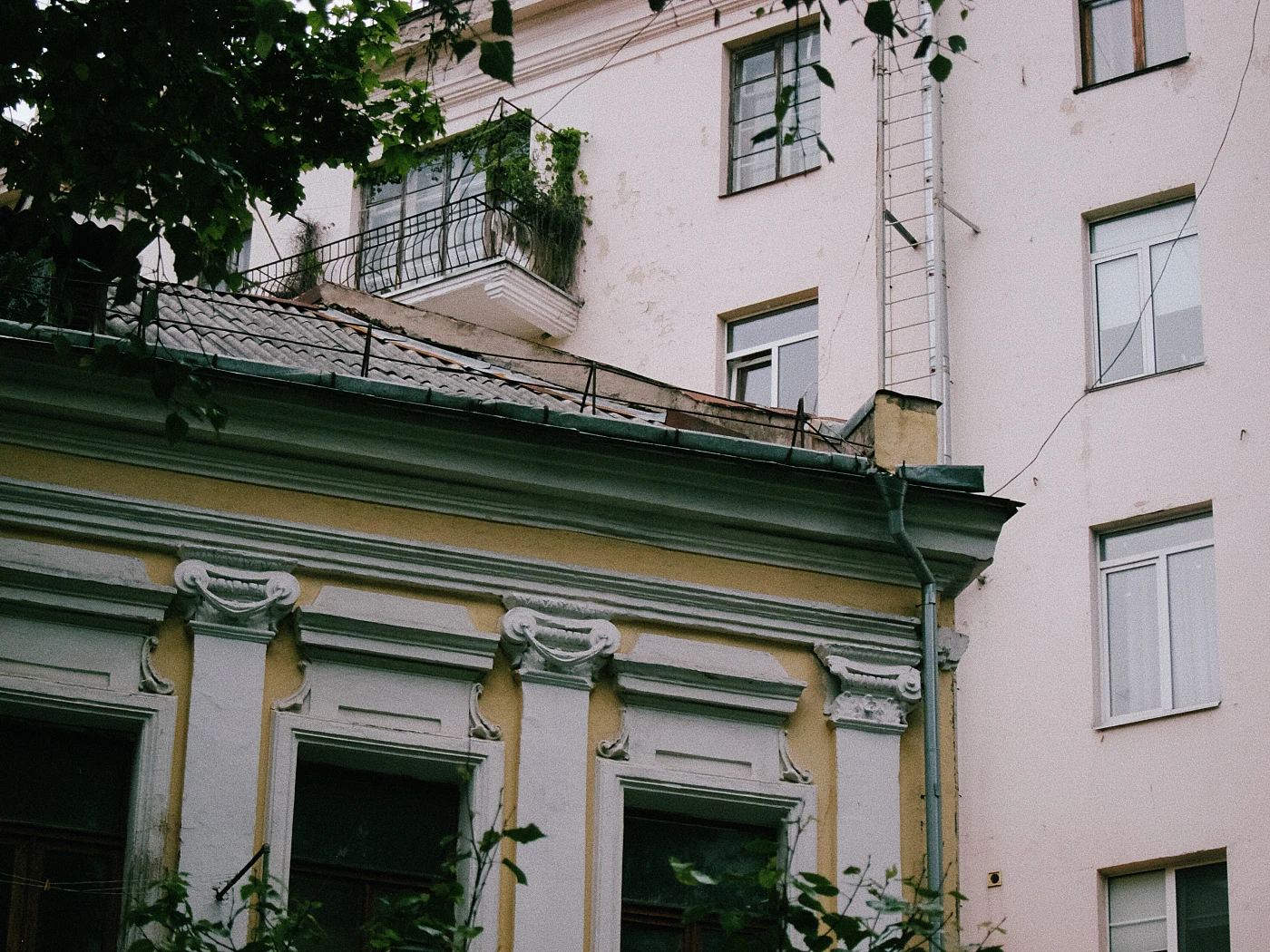 A fragment of an old building with a balcony and windows, with greenery in the foreground.