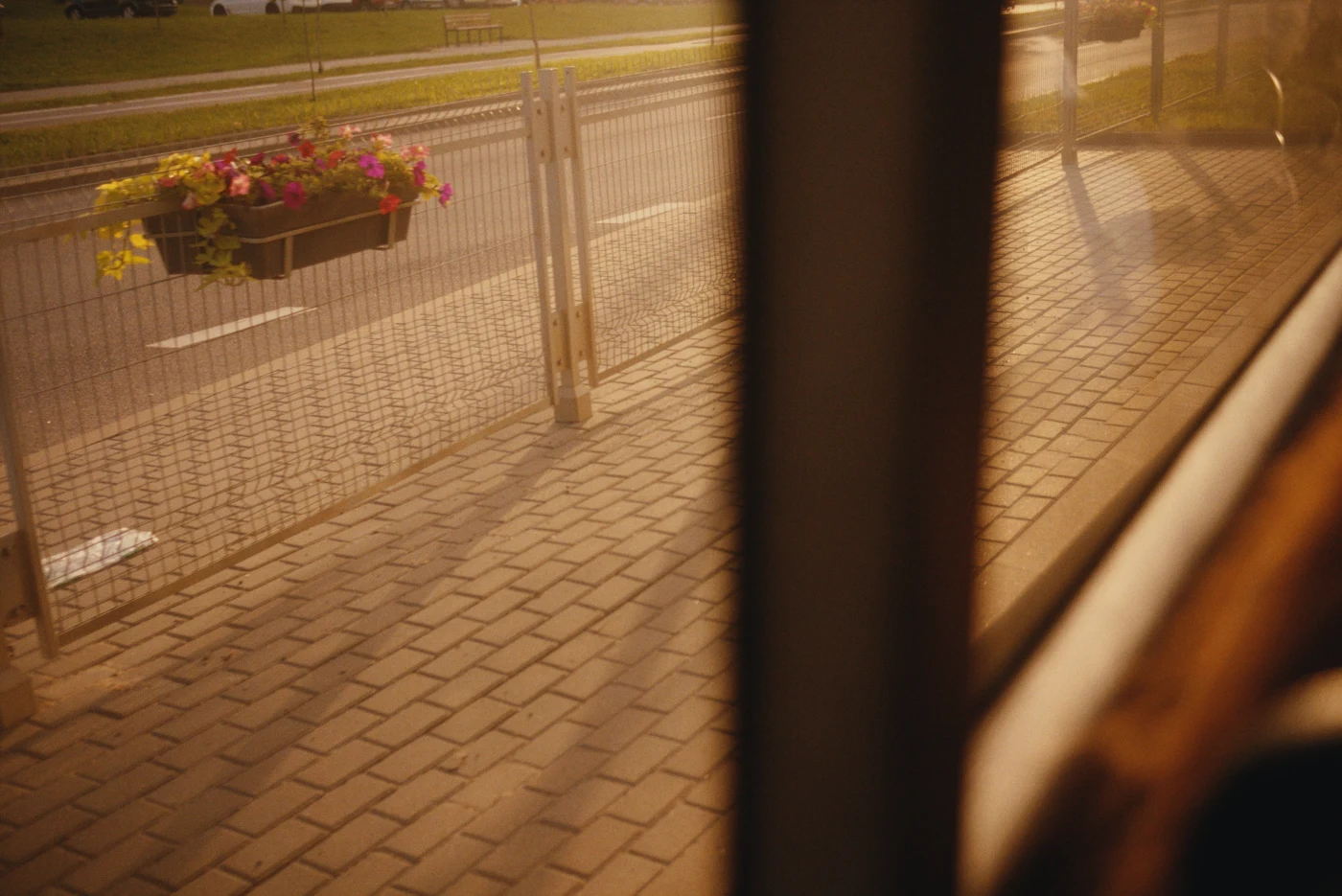 A bright evening view with flowers in planters and a pathway, seen from a window.