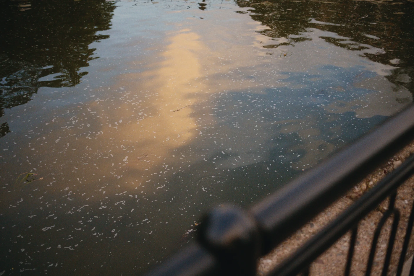 Clouds reflected in the water, with bubbles and gentle ripples on the surface. A black railing is visible in the foreground.
