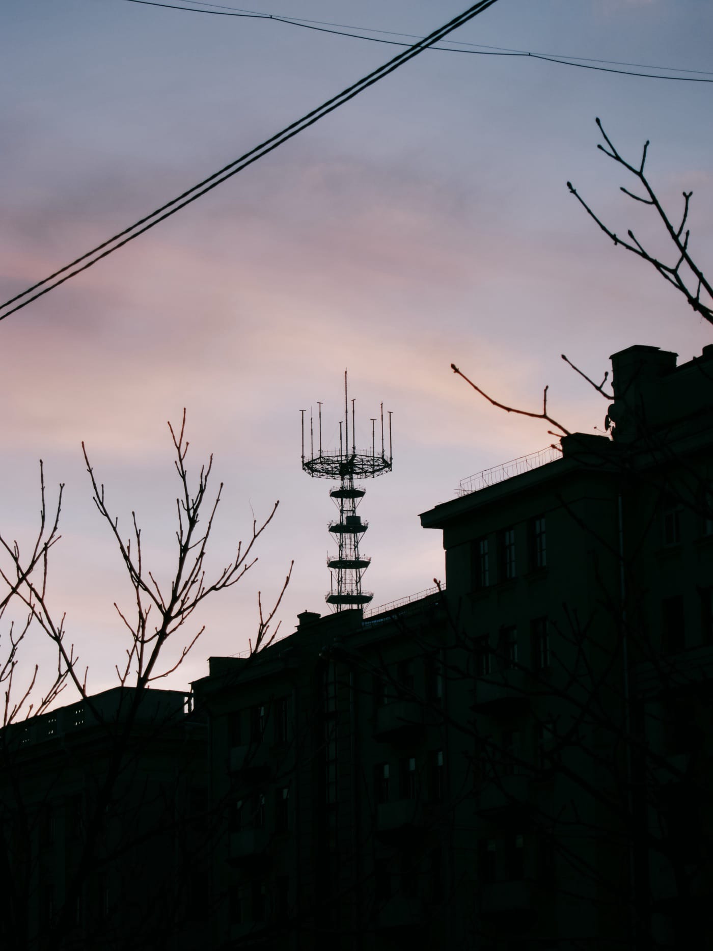 Антенна на фоне веток зимних деревьев