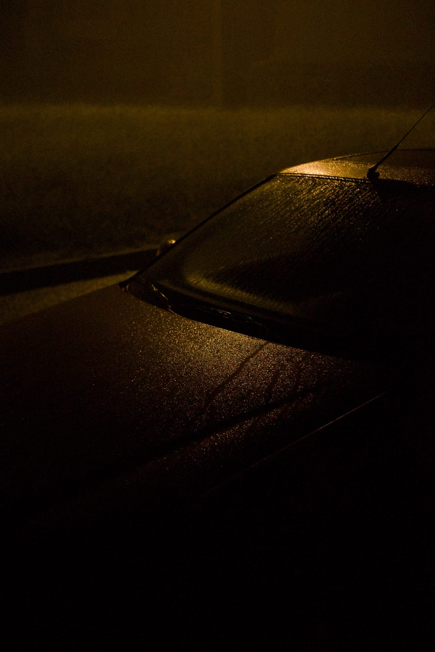 Dew Drops on a Car in the Yard