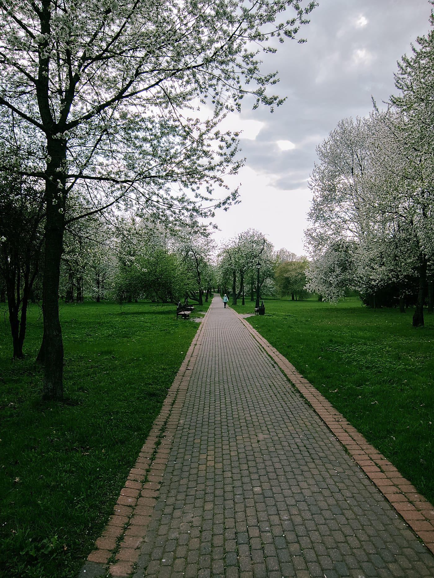 Красивая аллея в Лошицком парке в Минске