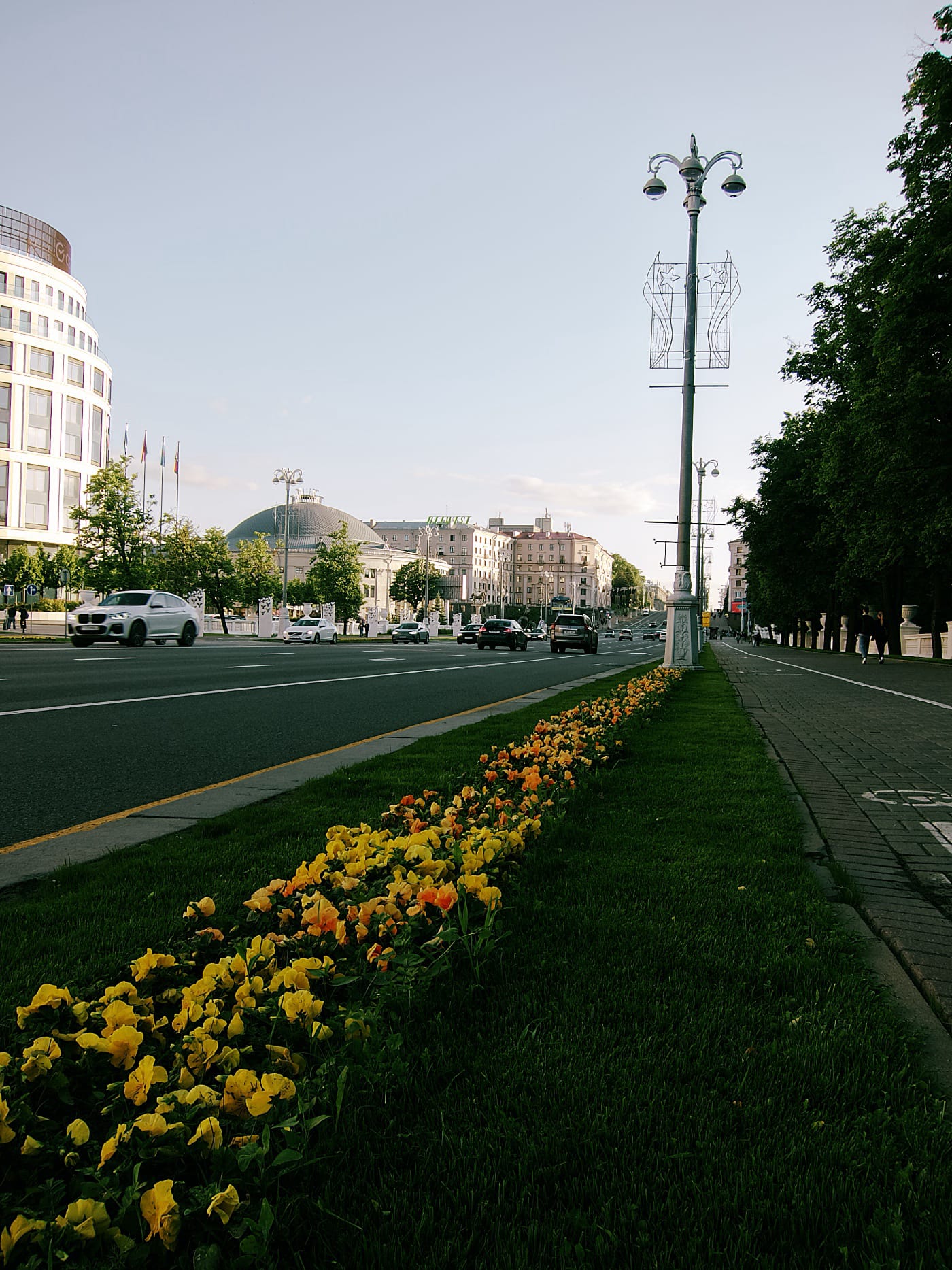 Жёлтые цветы на проспекте в Минске