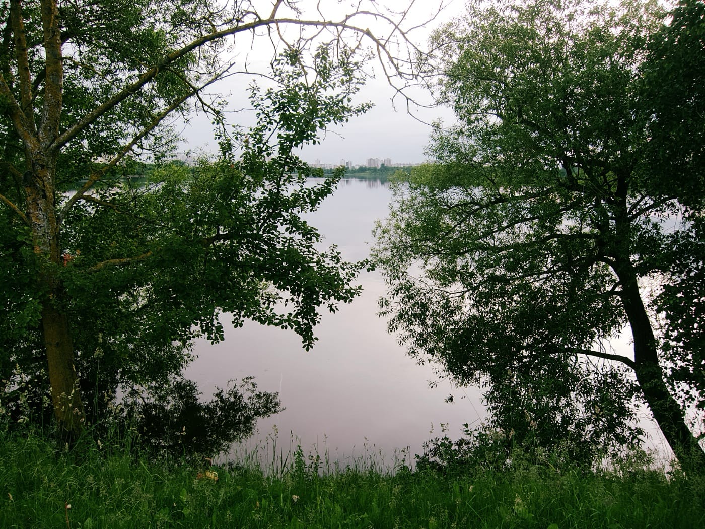 Водохранилище среди деревьев