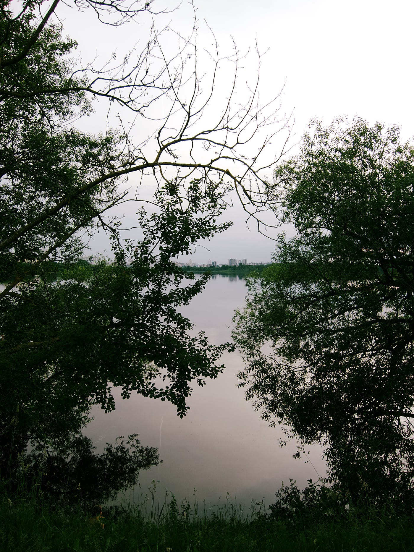 Водохранилище среди деревьев