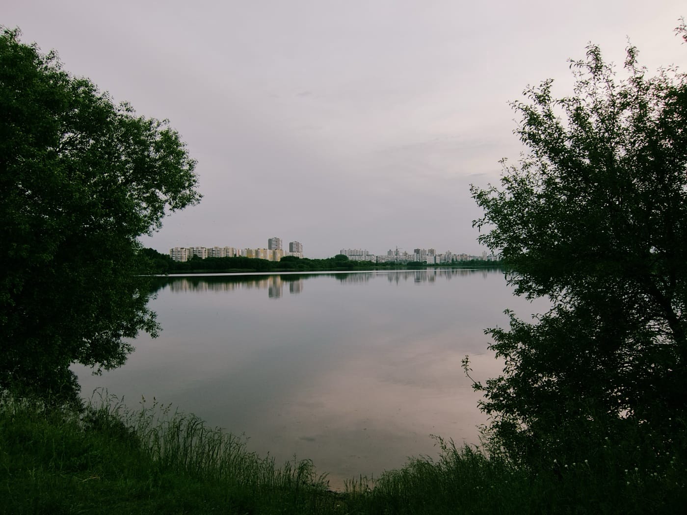 Водохранилище среди деревьев