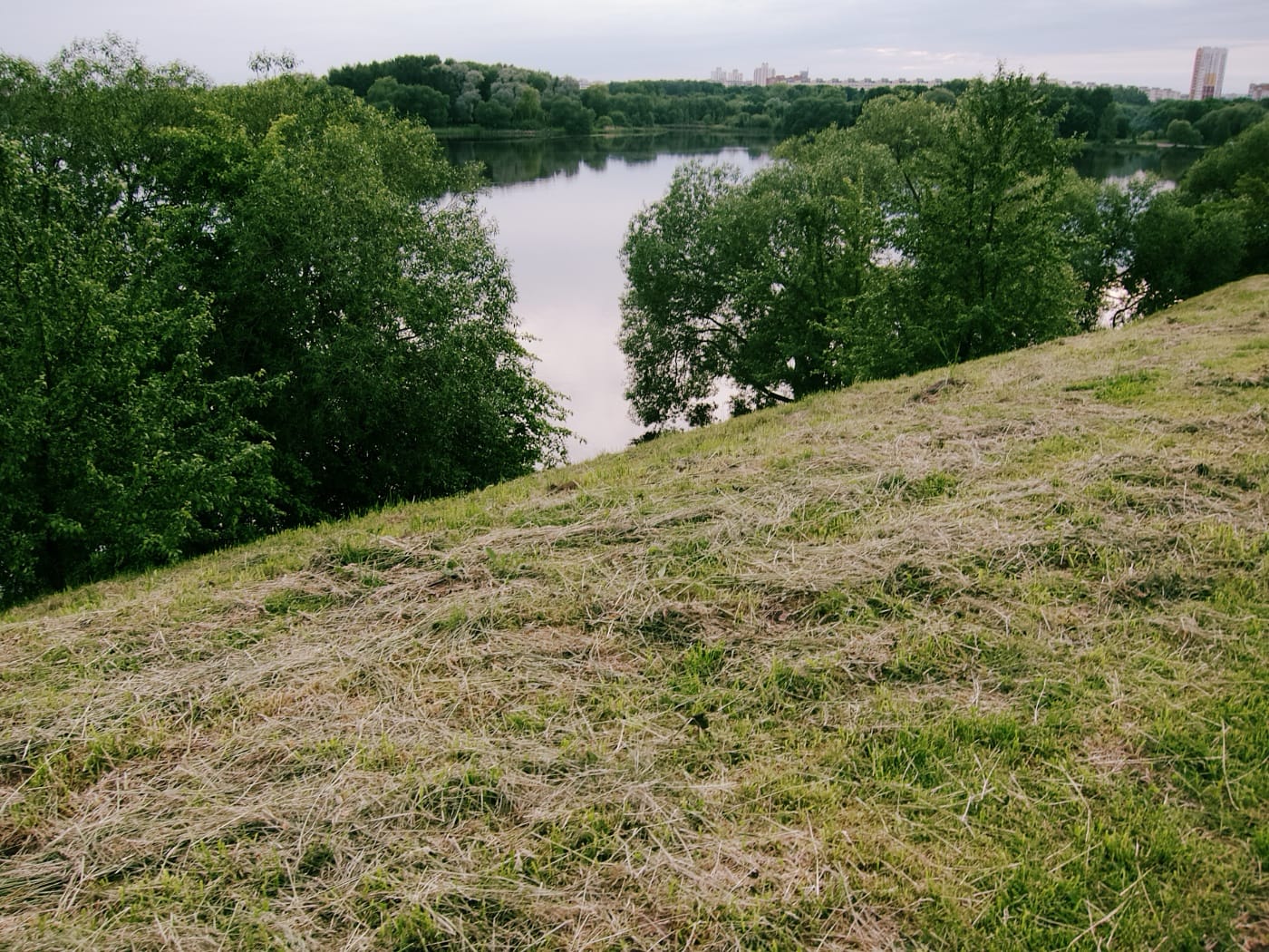 Водохранилице за деревьями (вид со склона)