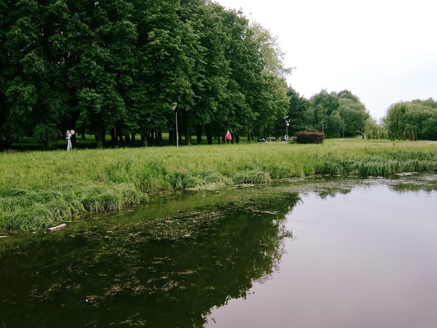 Зелёный берег водохранилища