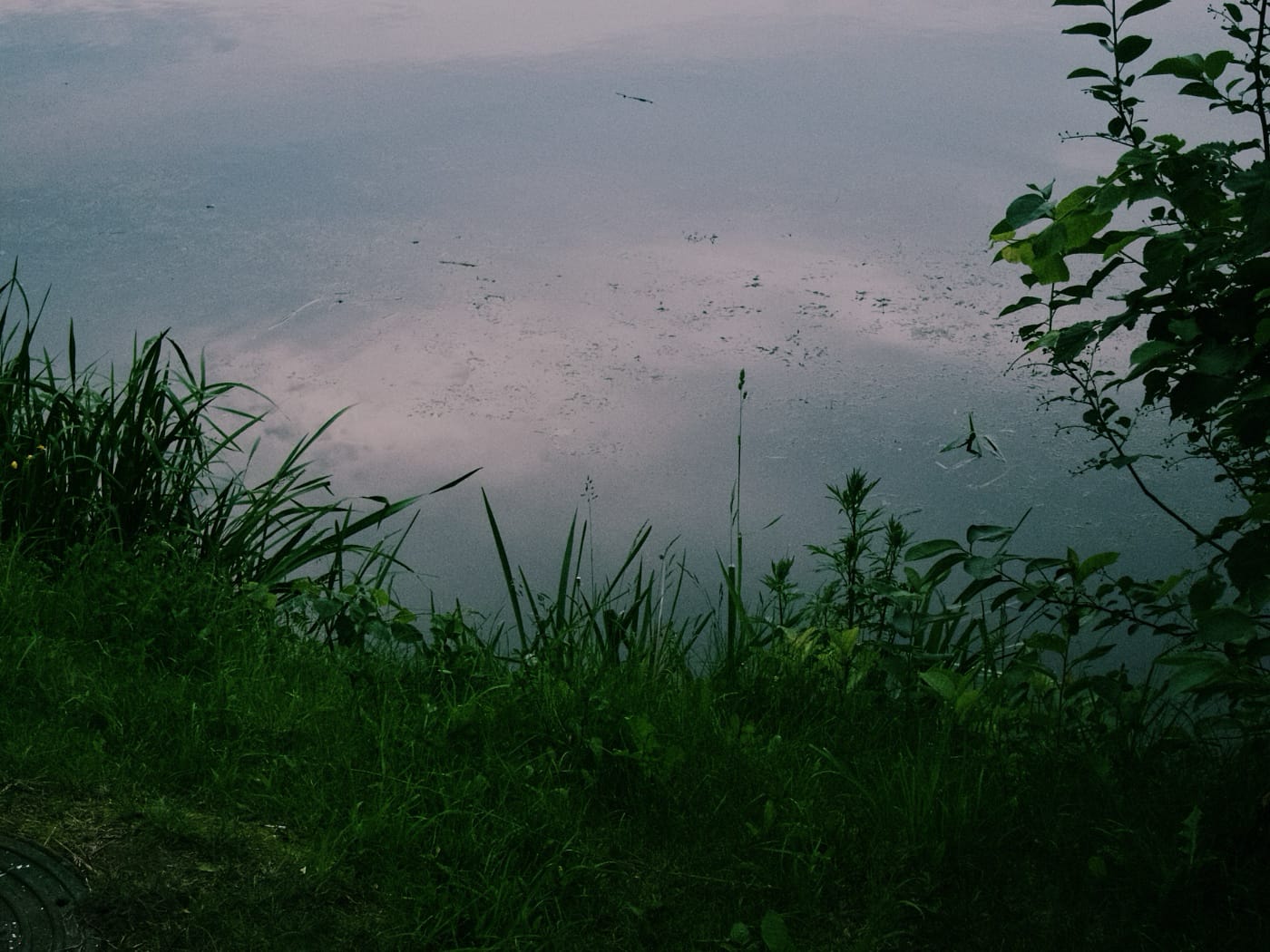 Вид на воду с берега