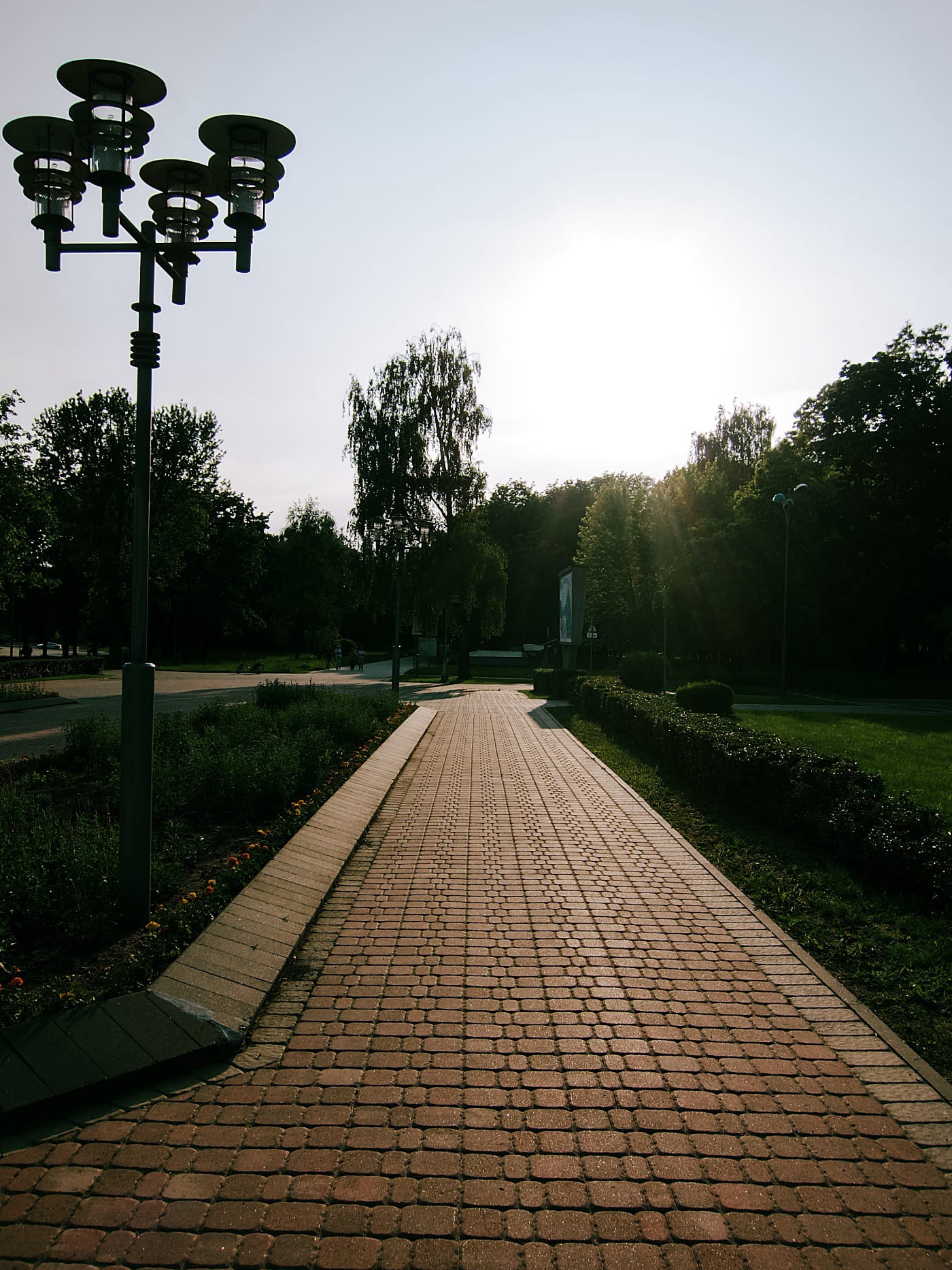Пешеходная дорожка и фонарь на закате в летнем парке
