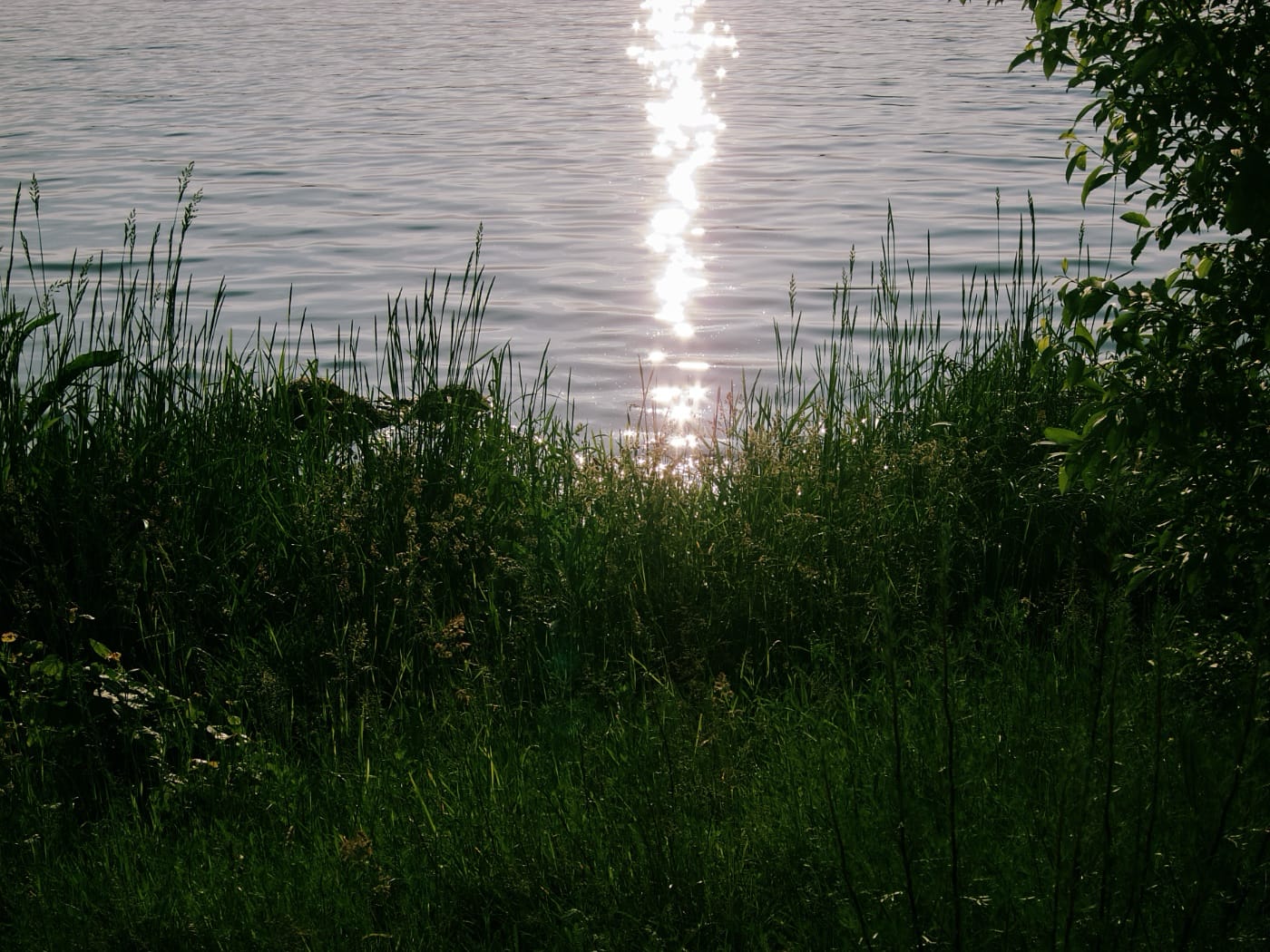 Луч солнца отражается в воде
