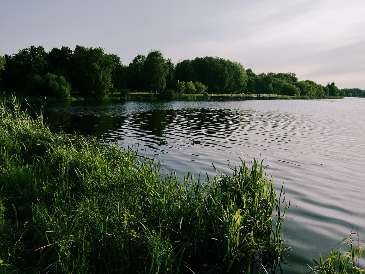 Панорама на Чижовское водохранилище в Минске на закате