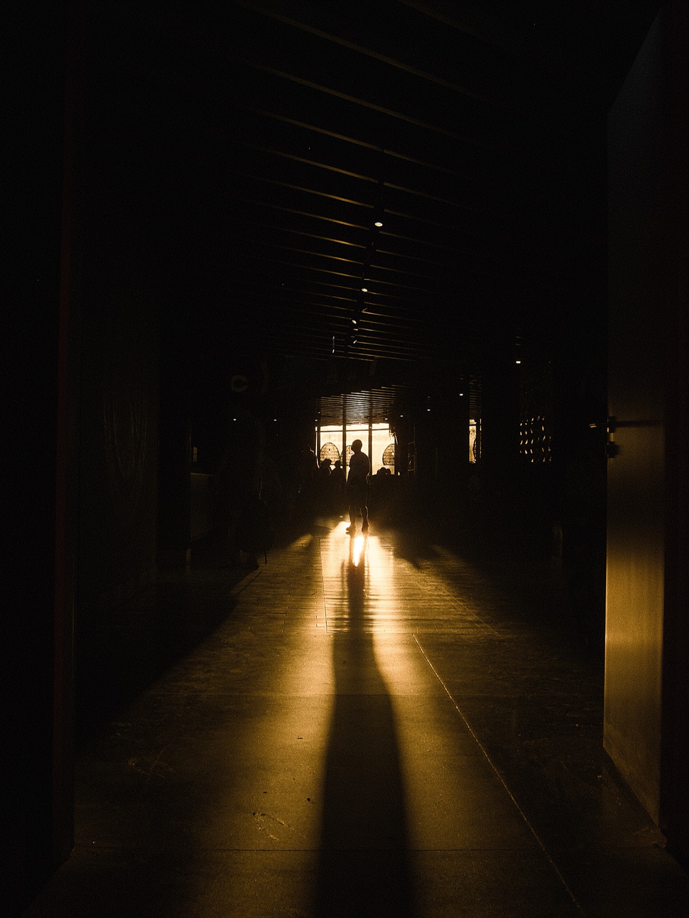 Силуэт человека на фоне яркого света в коридоре, длинные тени на полу.