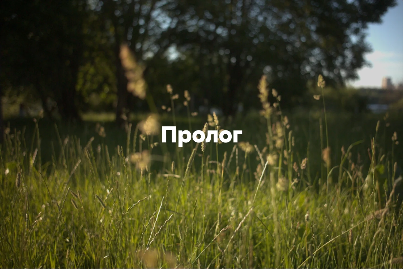 Зеленое поле с травой и надписью «Пролог» на фоне деревьев.